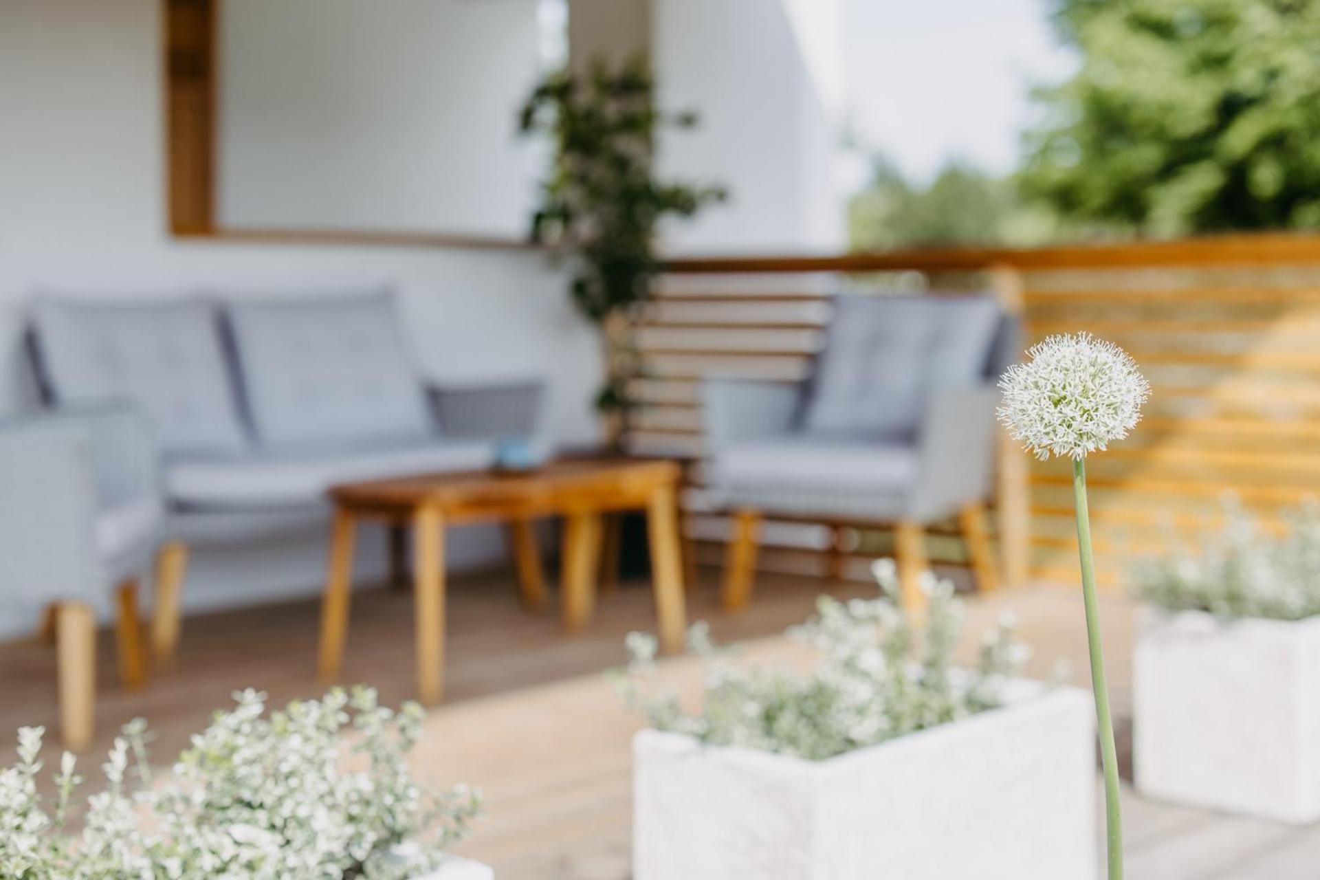 Urlaub Im Kellerstoeckl Dunst Apartment Strem Bilik gambar