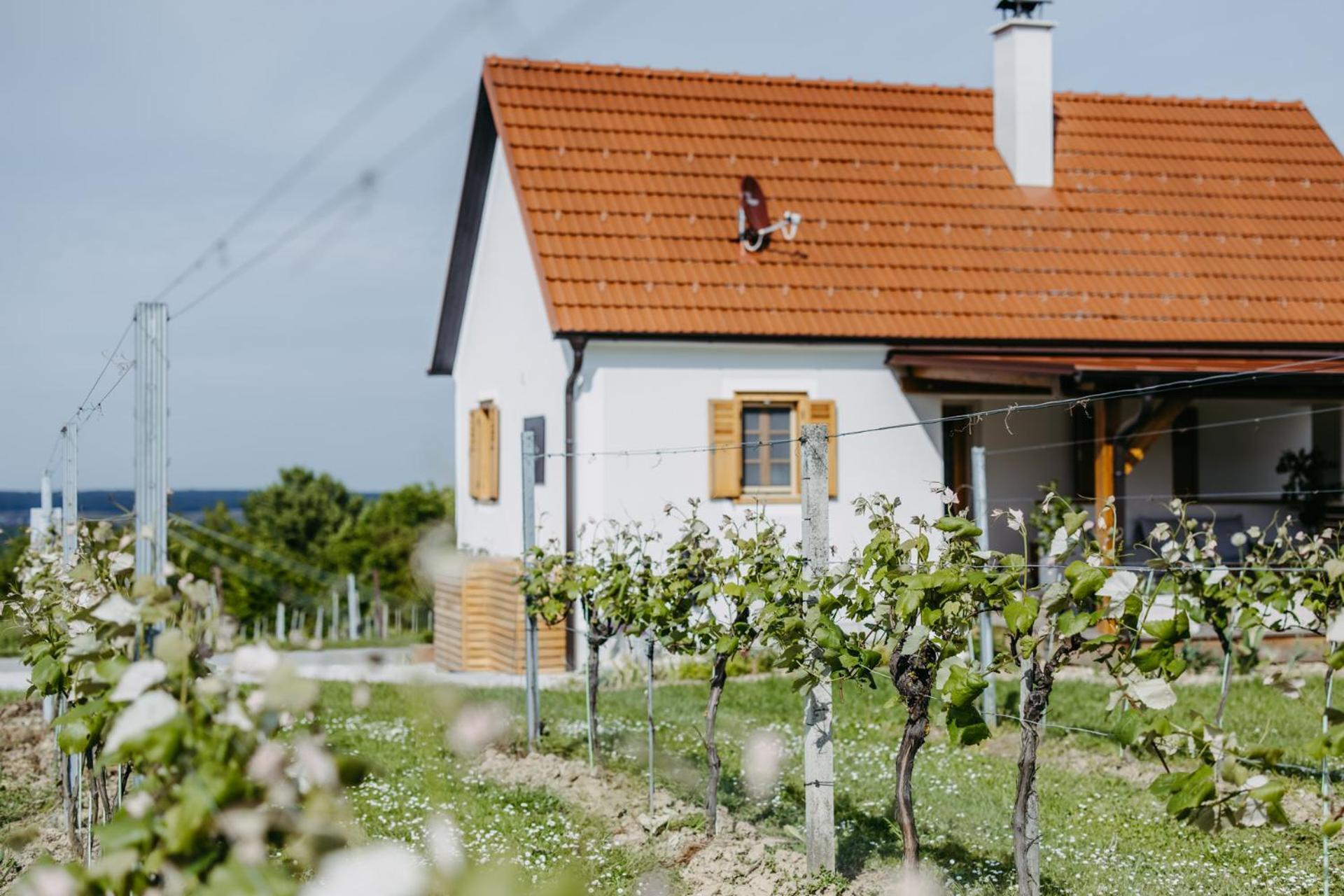 Urlaub Im Kellerstoeckl Dunst Apartment Strem Bilik gambar