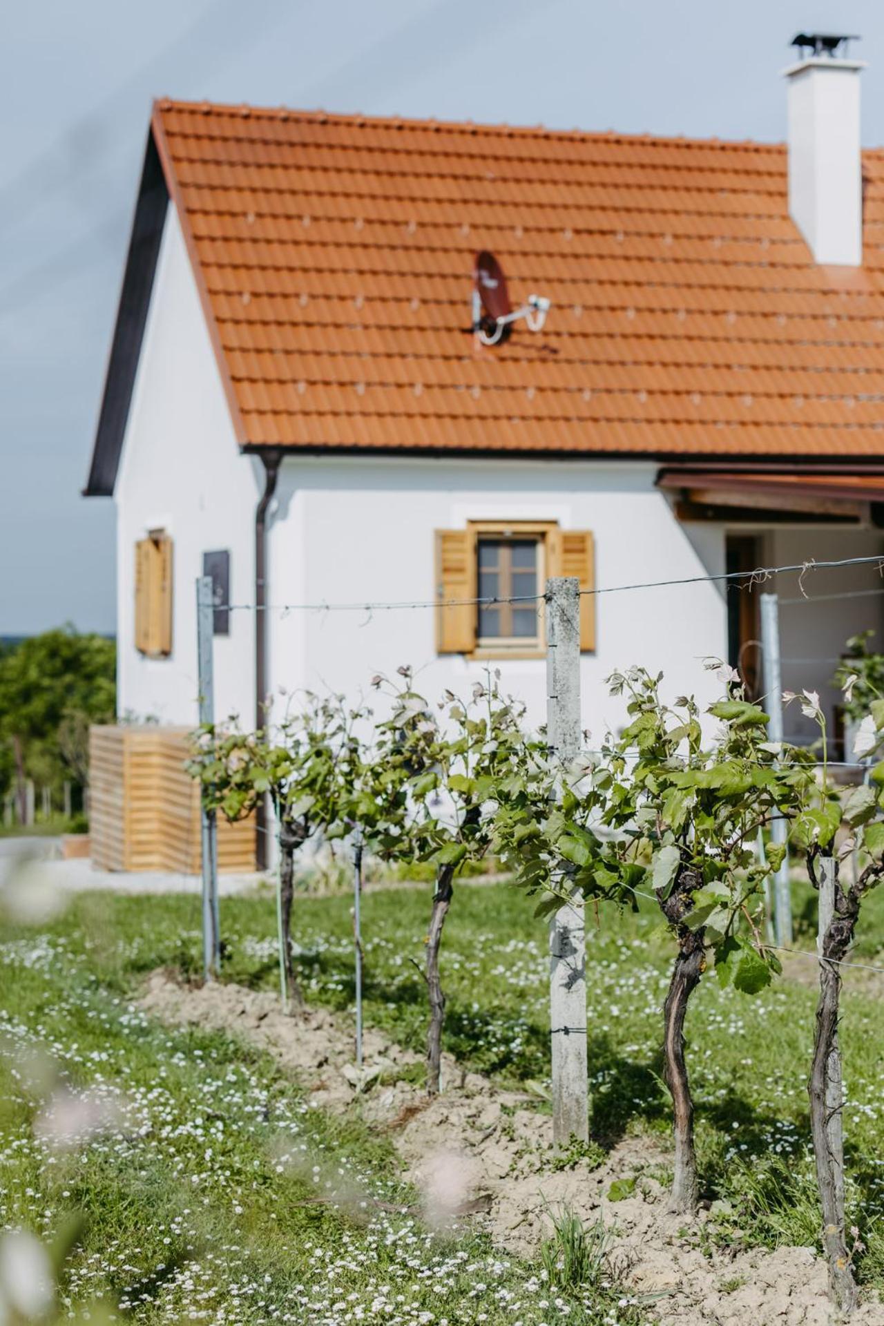 Urlaub Im Kellerstoeckl Dunst Apartment Strem Bilik gambar